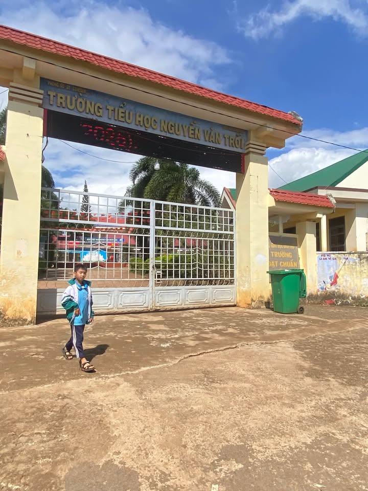 Đất thổ cư 600m² tại hẻm cấp 1 đường Y Ngong, Cư M'gar chỉ 420 triệu - Cơ hội đầu tư hấp dẫn!