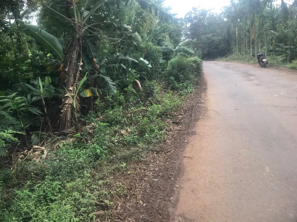 Đất thổ cư Tân Lập, Buôn Ma Thuột 660m² giá chỉ 3.8 tỷ - Cơ hội đầu tư hấp dẫn!