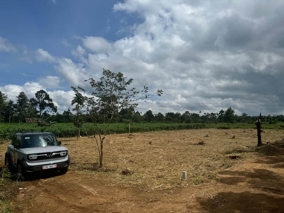 Đất nền Cư Đăng 110m² giá chỉ 550 triệu - Vị trí đắc địa gần Quốc lộ 14!