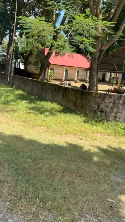 Đất nền Ngọc Liên 200m² giá 350 triệu - Cơ hội đầu tư hấp dẫn!