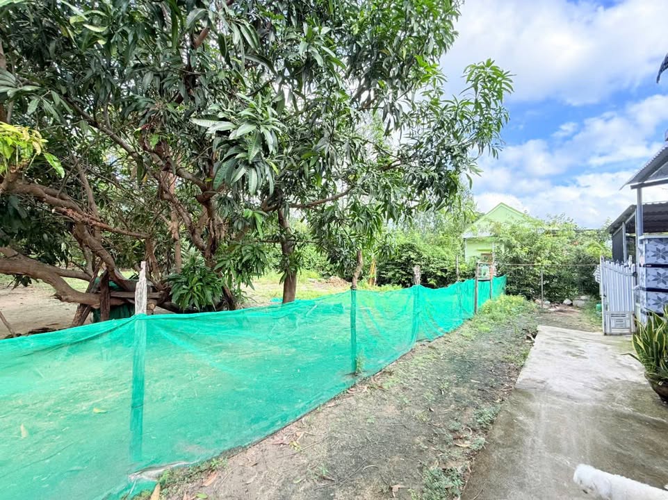 Đất nền Vạn Phú, Vạn Ninh 209m² giá chỉ 459 triệu - Đầu tư sinh lời tức thì!