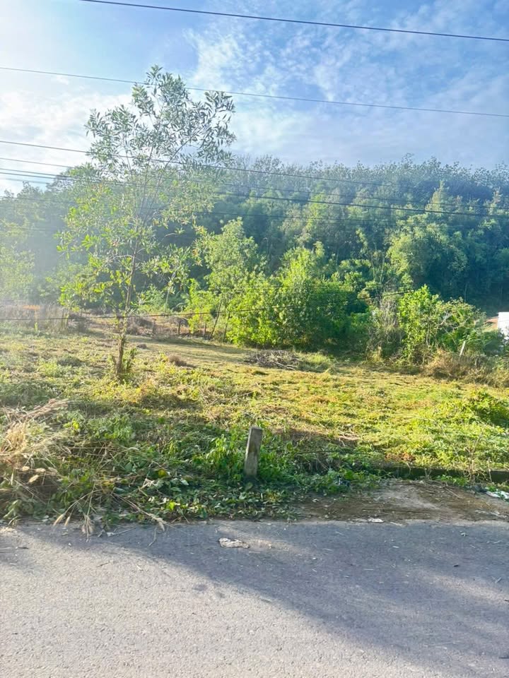 Đất nền chính chủ tại Đức Phong, Bù Đăng - Diện tích 150m², giá thỏa thuận!