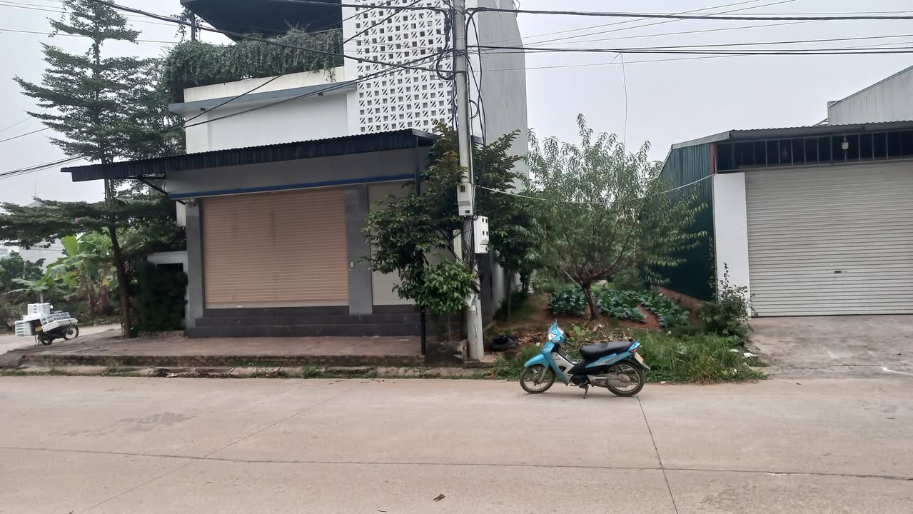 Đất nền Hợp Thịnh, Tam Dương 99m² giá 3 tỷ - Mặt tiền kinh doanh lý tưởng!