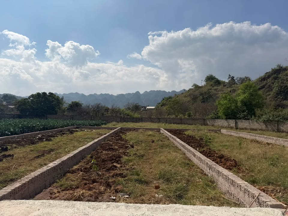 Đất Mộc Sơn 115m² giá 1.4 tỷ - Sổ đỏ chính chủ, công chứng ngay!