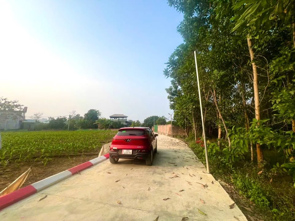 Đất nền Yên Lãng, Thanh Sơn, Phú Thọ 133m² giá 400 triệu - Lô góc giao thông thuận tiện!