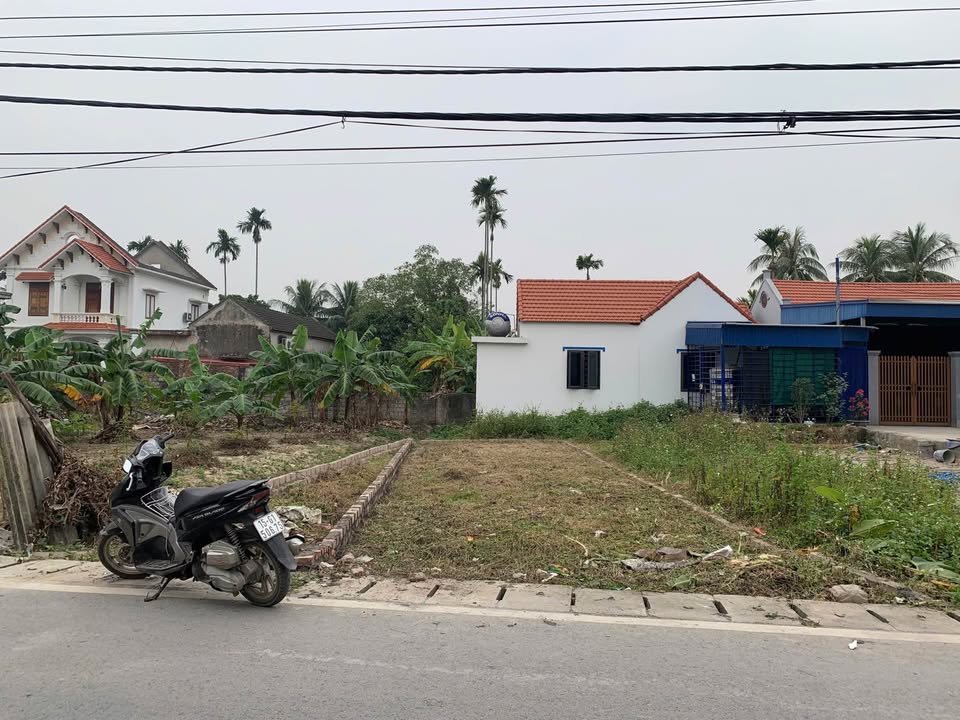 Đất thổ cư Thủy Nguyên 60m² giá chỉ 29xx triệu - Đầu tư sinh lời ngay!