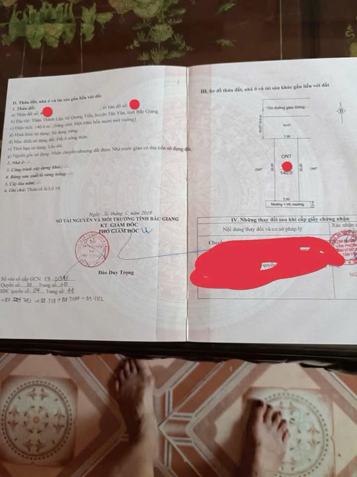 Đất nền Quang Trung Tân Yên 140m² giá 1.3 tỷ - Cơ hội đầu tư hấp dẫn!