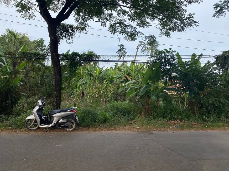 Đất đẹp mặt tiền nhựa Cây Me 215m² chỉ 1.25 tỷ - Đầu tư sinh lời ngay!