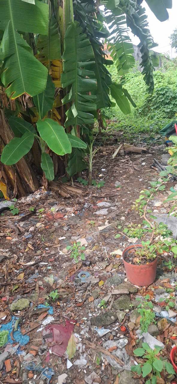 Đất nền Vĩnh Lộc B, Bình Chánh 96m² giá 1.85 tỷ - Sổ đỏ chính chủ, vị trí đắc địa!