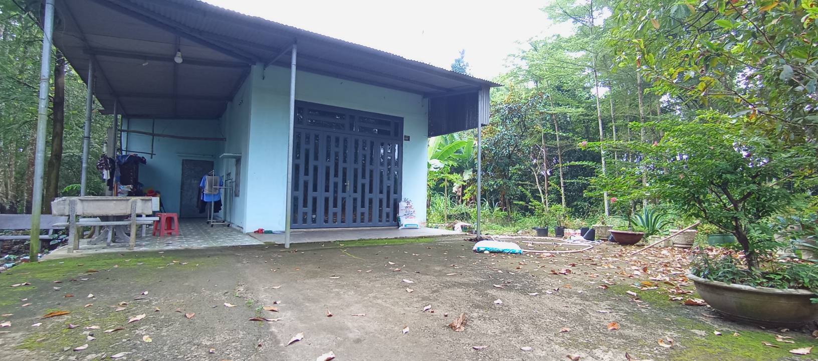 Đất nền An Viễn Trảng Bom 5000m² - Sổ hồng đầy đủ, pháp lý rõ ràng!