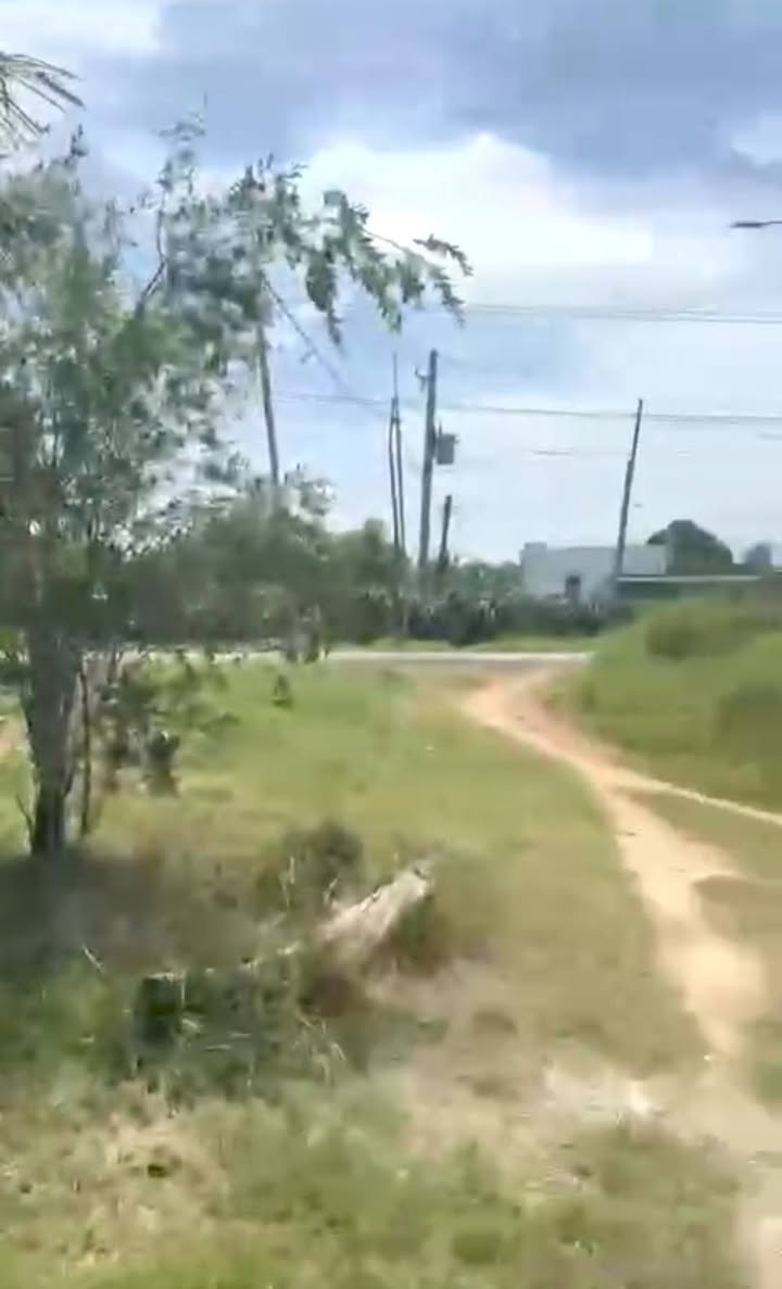 Đất nền Tân Hải, La Gi 4800m² giá 800 triệu - Tiềm năng sinh lời cao!