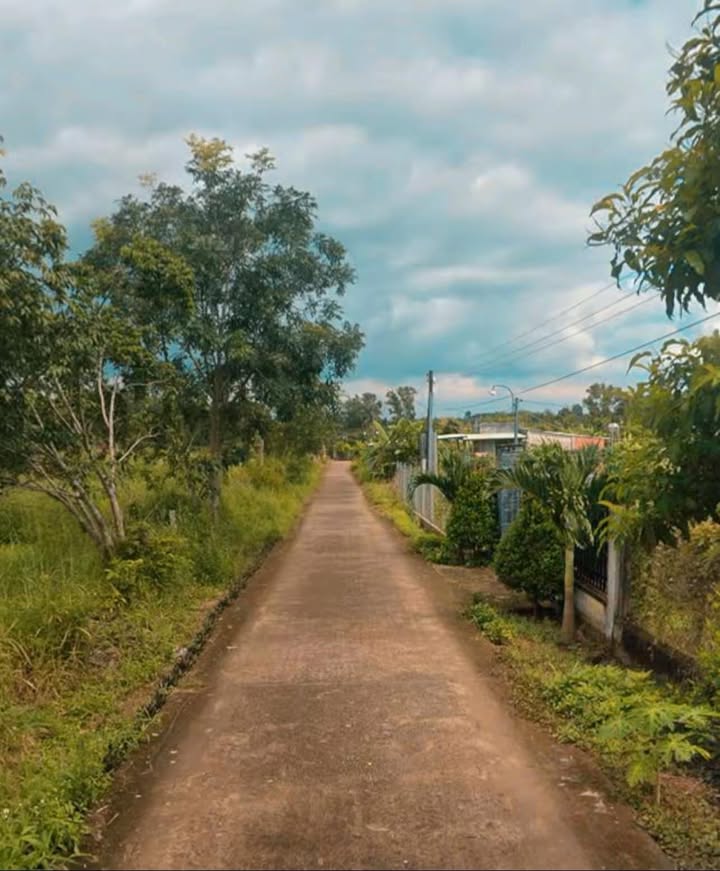 Đất nền 2000m² Bình An Long Thành - Giá chỉ 3.49 tỷ, sổ hồng đầy đủ!