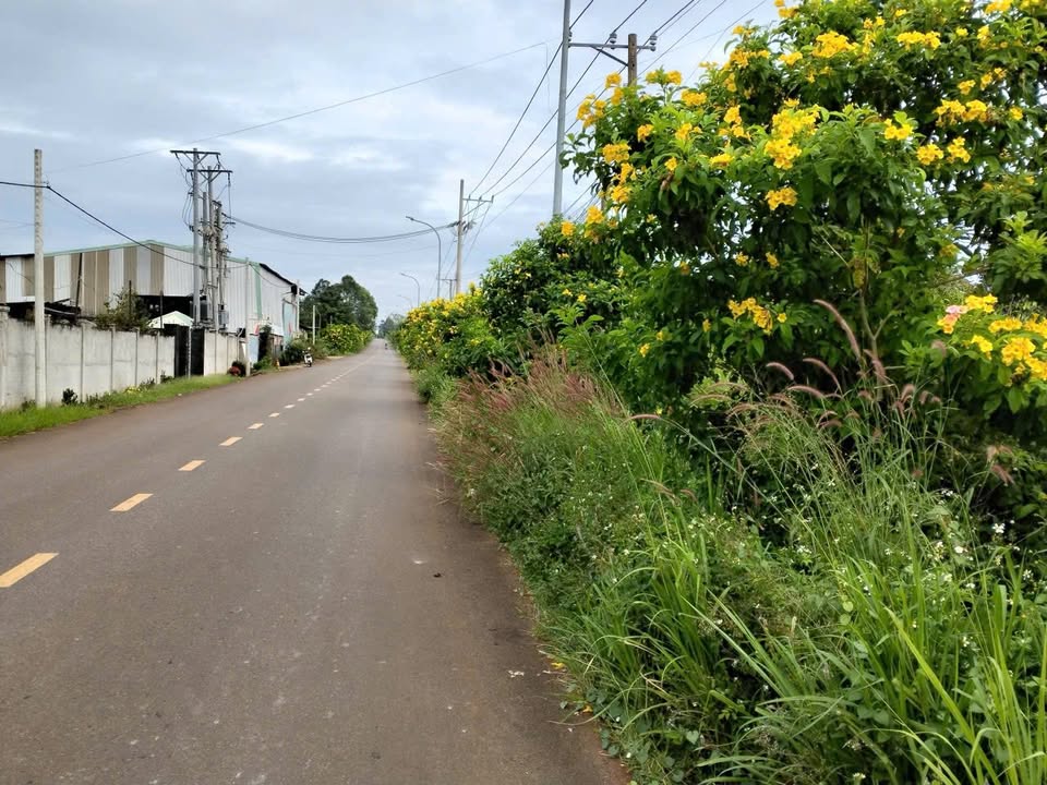 Đất Mặt Tiền Tại Bình Giã, Châu Đức, 12705m² - Cơ Hội Đầu Tư Vàng!