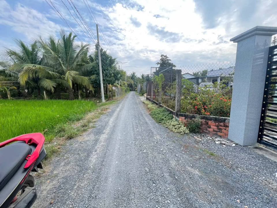 Đất thổ cư 120m² tại Ấp 1, Long Định, Cần Đước - Giá 870 triệu, bớt lộc!