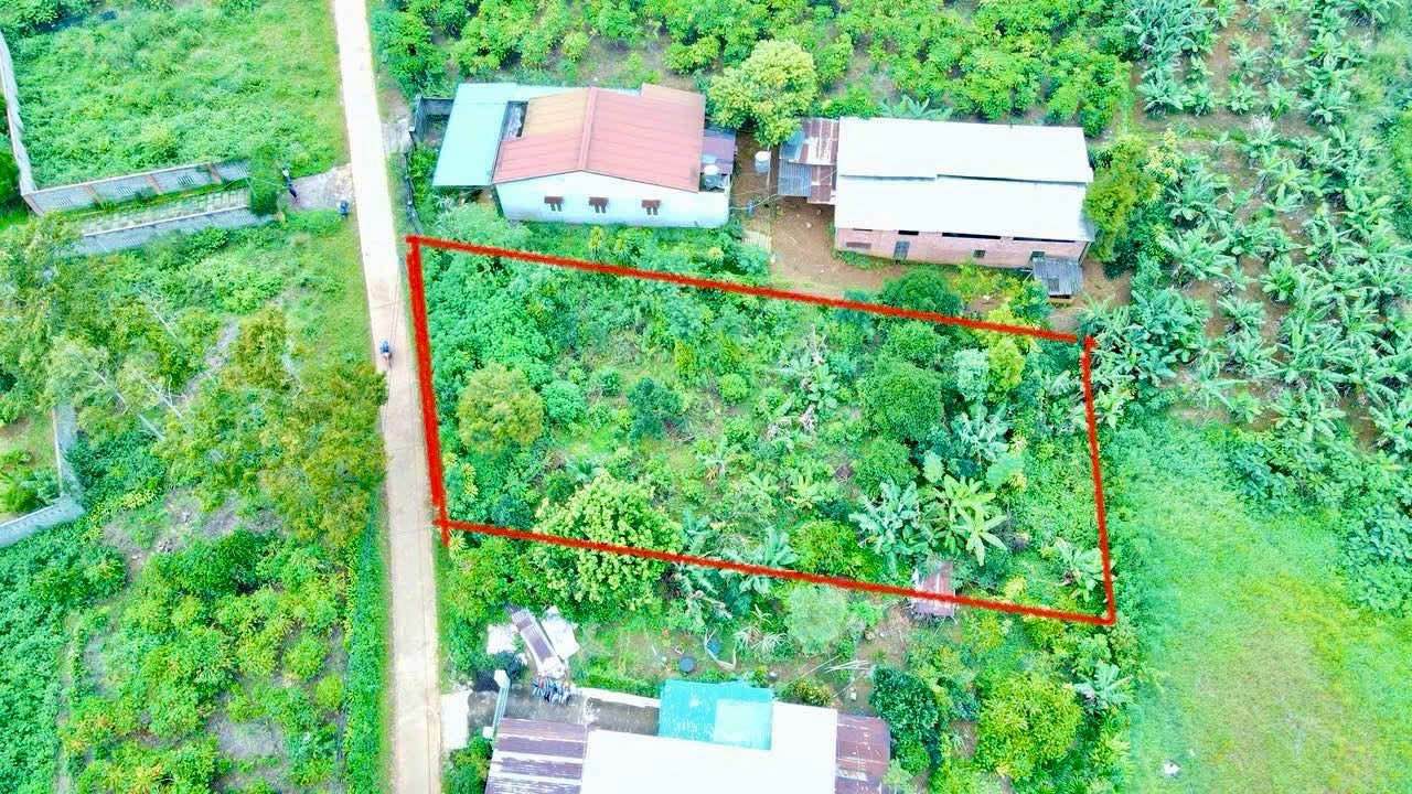 Đất nền biệt thự B’Lao Bảo Lộc 847m² giá 3.9 tỷ - Hướng Tây, khu dân cư yên tĩnh!