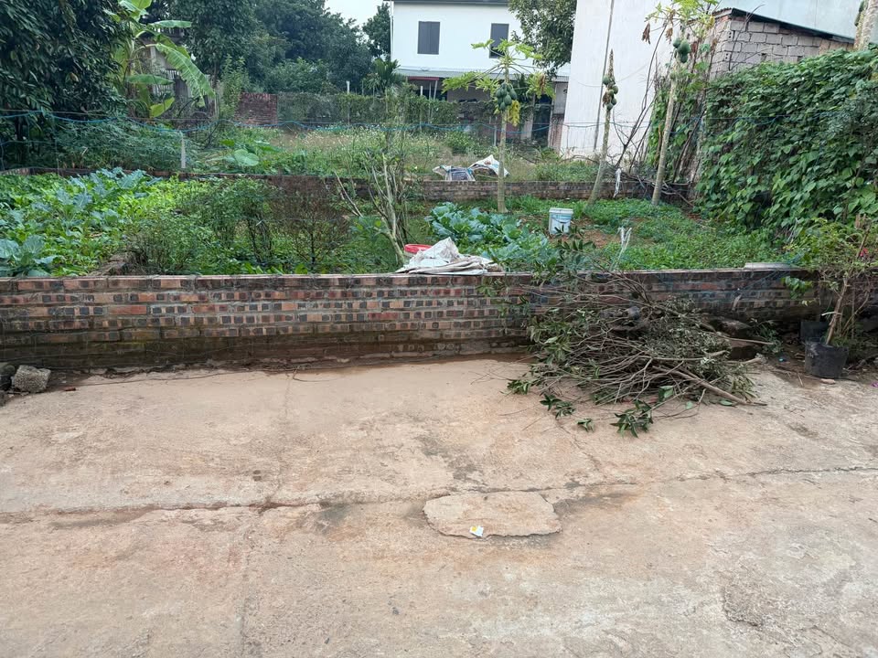 Đất Tích Giang Phúc Thọ 58m² giá 1.6 tỷ - Vị trí thoáng đãng, ô tô đỗ cửa!