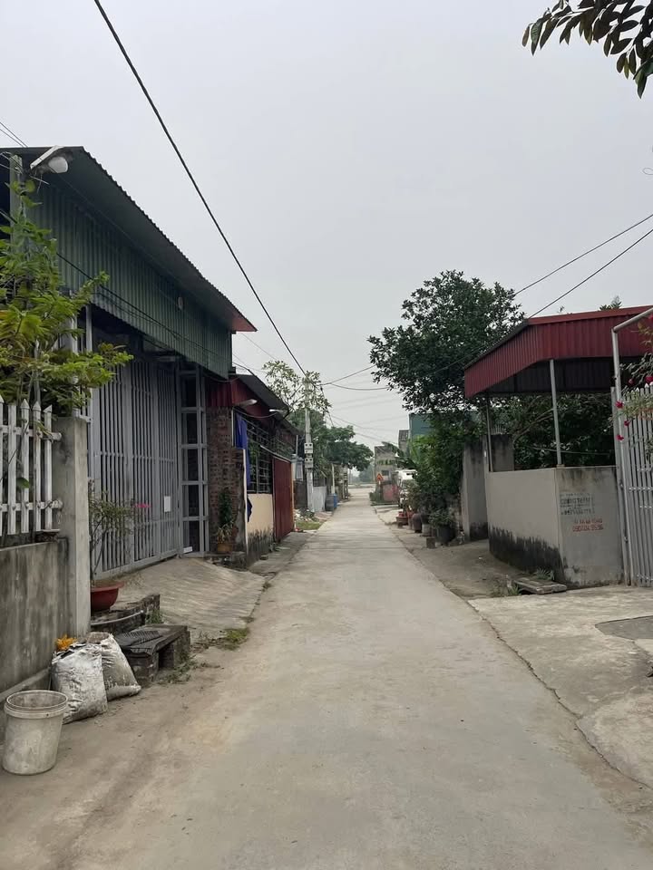 Đất nền Thị trấn Thanh Miện 63m² giá 1.4 tỷ - Chính chủ bán gấp!