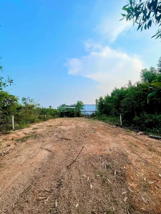 Đất nền Vĩnh An, Đồng Nai 550m² giá 650 triệu - Sổ hồng riêng, cơ hội đầu tư tuyệt vời!