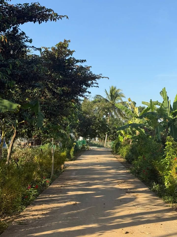 Đất thổ cư 2000m² Thạch Bình, Thạch Thành giá 700 triệu - Đầu tư sinh lời ngay!