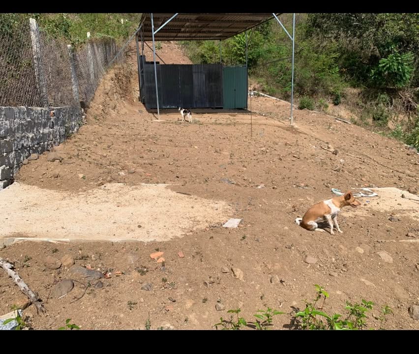 Bán đất Vĩnh Hòa Nha Trang 194m² giá 1.05 tỷ - Đất 2 mặt tiền tiện ích đầy đủ!