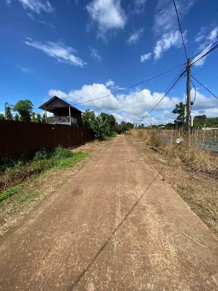 Đất nông nghiệp Phường Khánh Xuân 3612m² giá 2.5 tỷ - Cơ hội đầu tư tuyệt vời!