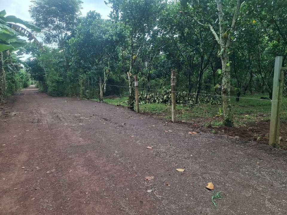 Đất nền Bảo Vinh Long Khánh 700m² giá 1.45 tỷ - Pháp lý rõ ràng, sổ hồng chính chủ!