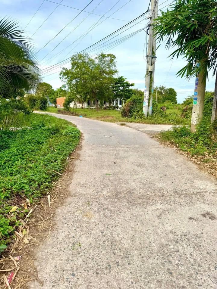 Đất nền 600m² tại xã Hàm Chính, huyện Hàm Thuận Bắc - Giá tốt, pháp lý rõ ràng!