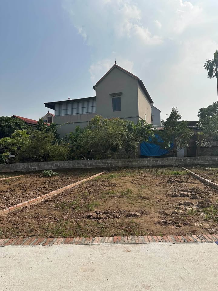 Đất nền An Bình, Thuận Thành, Bắc Ninh 63m² giá chỉ 1.6 tỷ - Đầu tư sinh lời ngay!