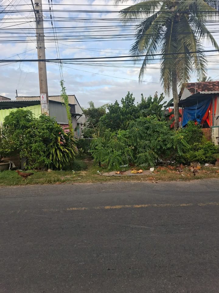 Đất thổ cư mặt tiền đường lộ 946, xã Long Điền B, 613m² - Giá 1.5 tỷ, thương lượng!