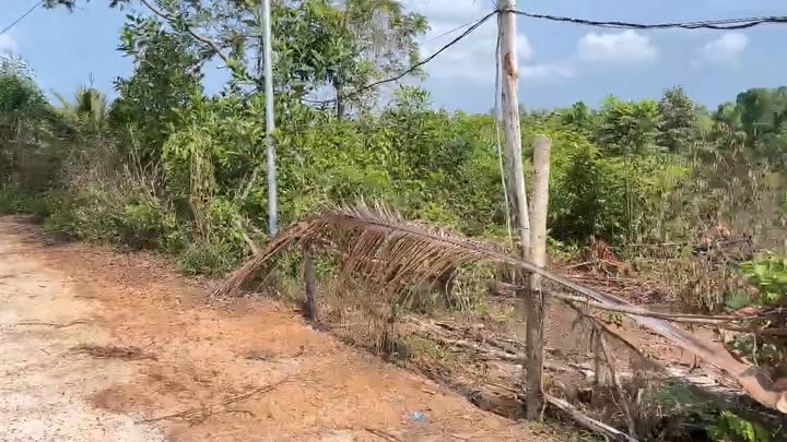 Đất nền đẹp tại Ông Lang, Phú Quốc 1522m² - Gần biển chỉ 1 phút!