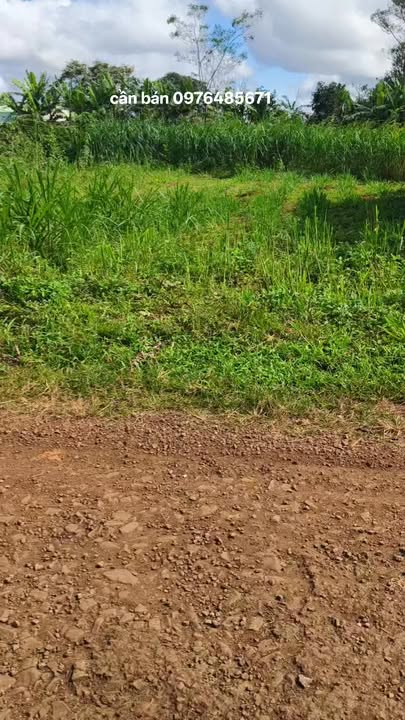 Đất thổ cư 1350m² tại thôn 3, xã Ia HLốp, giá chỉ 1.485 tỷ - Cơ hội vàng đầu tư!