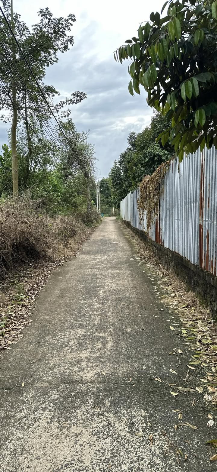 Đất nền Xuân Tân 110m² giá 790 triệu - Sổ đỏ chính chủ, đầu tư sinh lời!