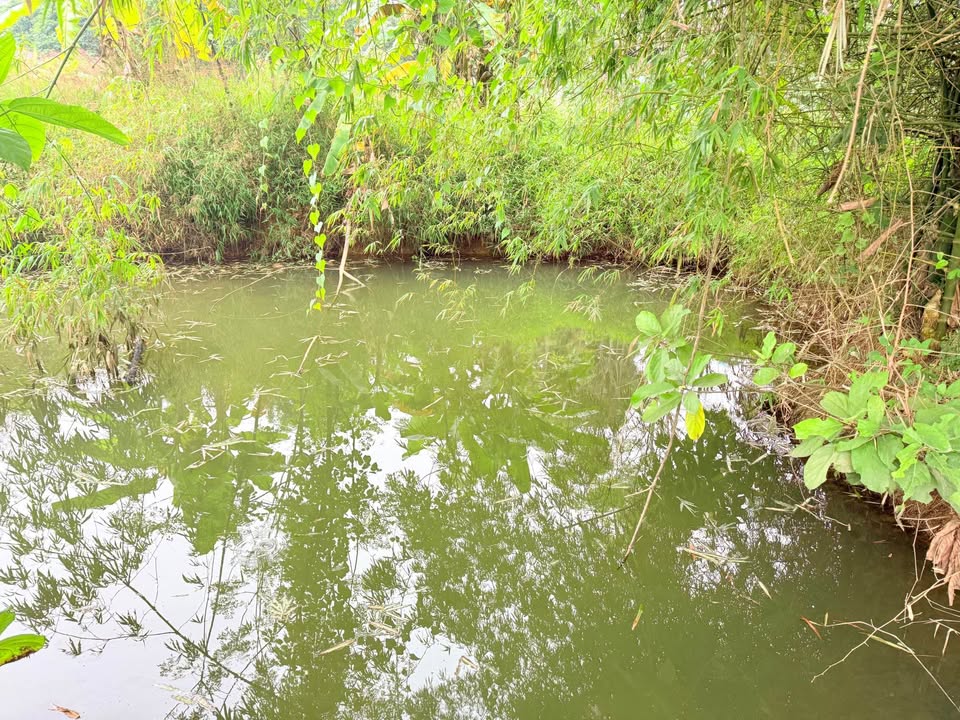 Đất thổ cư 2.540m² tại Liên Sơn, Hòa Bình – Giá chỉ 4 tỷ – Không gian sinh thái lý tưởng!