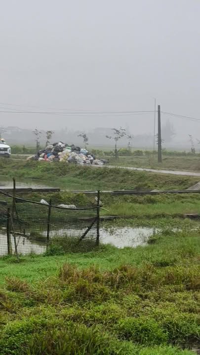 Đất quy hoạch xã Cẩm Hà 200m² - Giá thỏa thuận hấp dẫn!