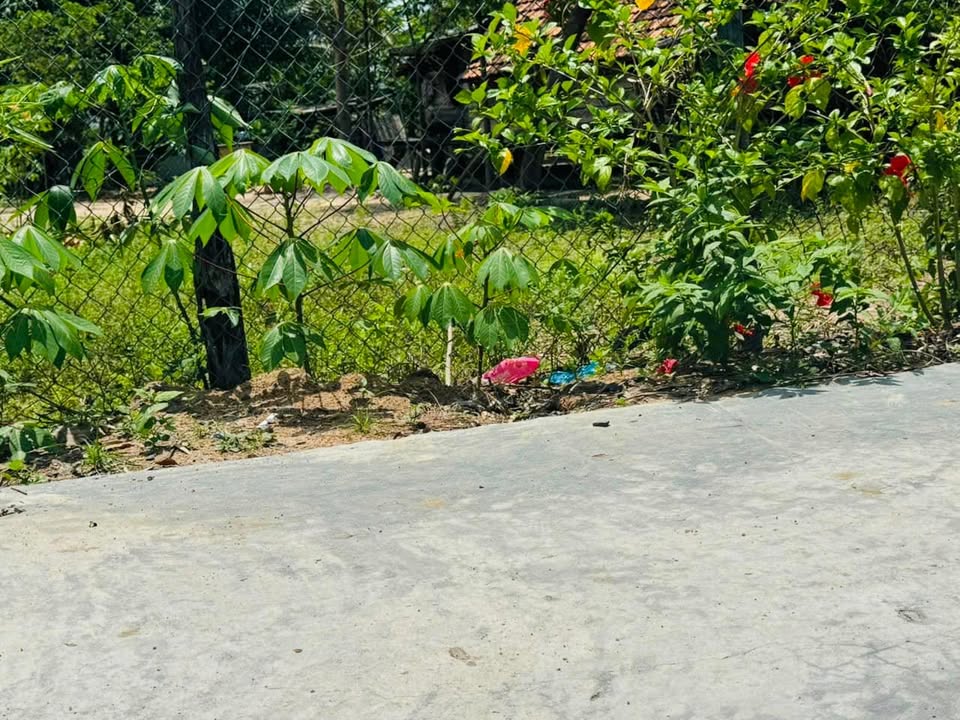 Đất nền Ninh Tây 289,3m² giá 299 triệu - Đầu tư sinh lời ngay!