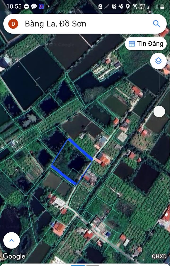 Đất vườn Bàng La Đồ Sơn 2800m² - Cơ hội hiếm có để đầu tư!