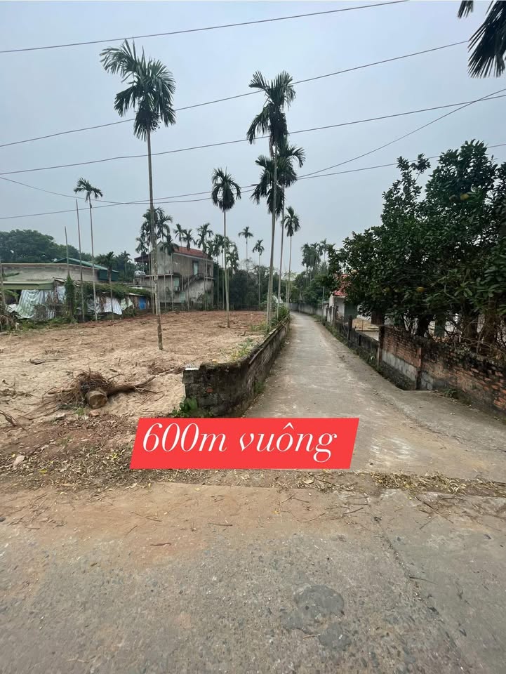 Đất nền Vĩnh Trụ Lý Nhân 600m² - Tiềm năng kinh tế cao cho nhà xưởng và kinh doanh!