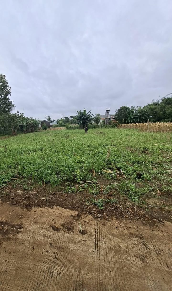 Đất thổ cư tại Thôn 6c, xã Ea Phê, huyện Krông Pắc 828m² chỉ 490 triệu - Cơ hội đầu tư tuyệt vời!