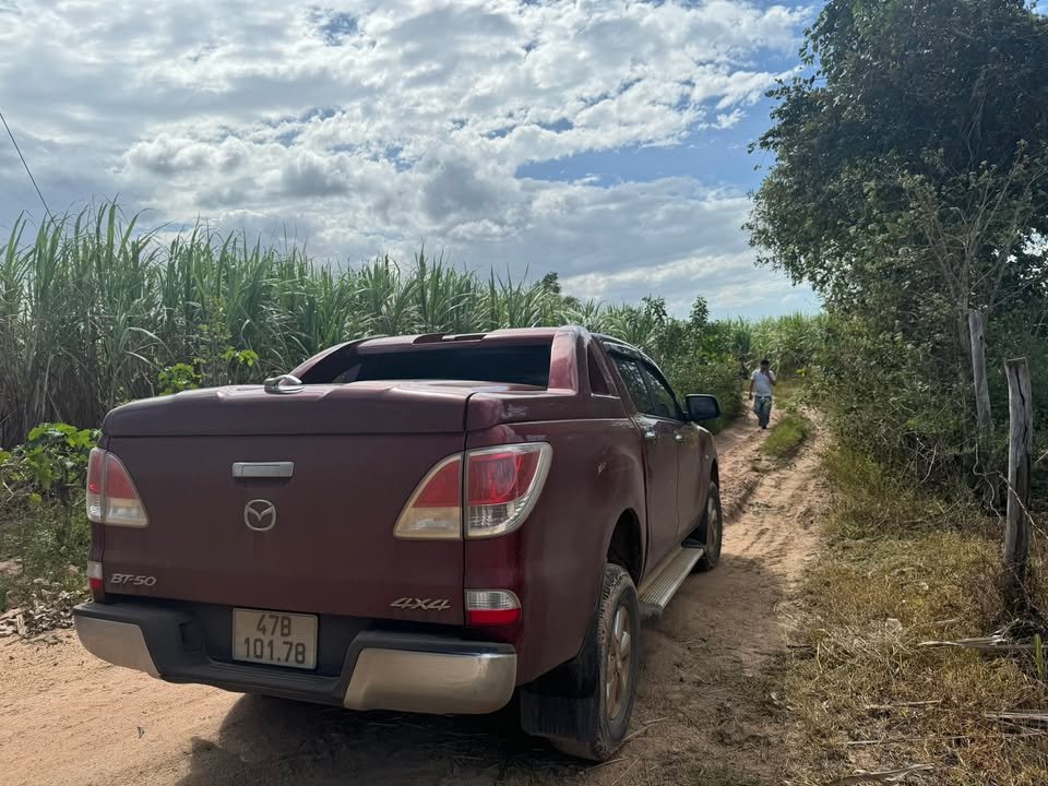 Đất nông nghiệp 14,5ha xã Chư Răng, giá 4.2 tỷ - Tiềm năng đầu tư lớn!