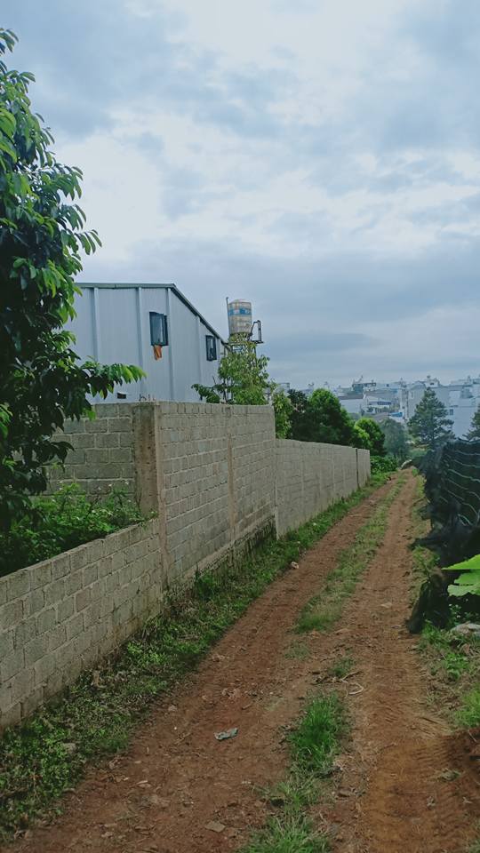 Nhà riêng Đào Duy Từ Bảo Lộc 104m² giá 2.6 tỷ - Sân ô tô rộng rãi, tiện ích đầy đủ!