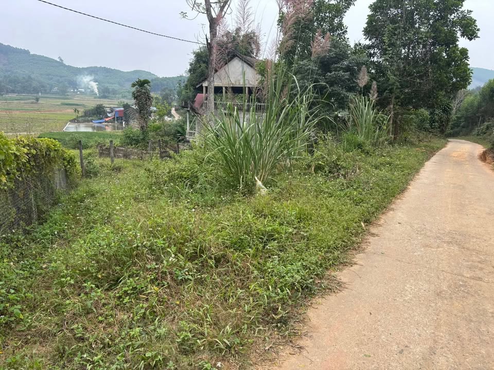 Đất Tân Linh, Đại Từ 7000m² giá 1.8 tỷ - Cơ hội đầu tư tuyệt vời!