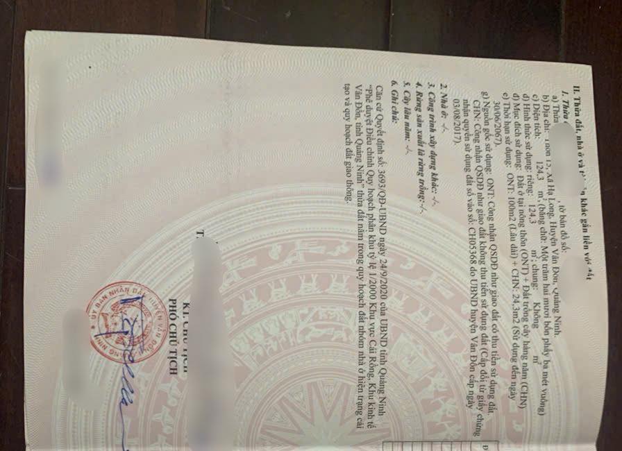 Đất nền 124,3m² thôn 15, xã Hạ Long, Vân Đồn - Giá thương lượng hấp dẫn!