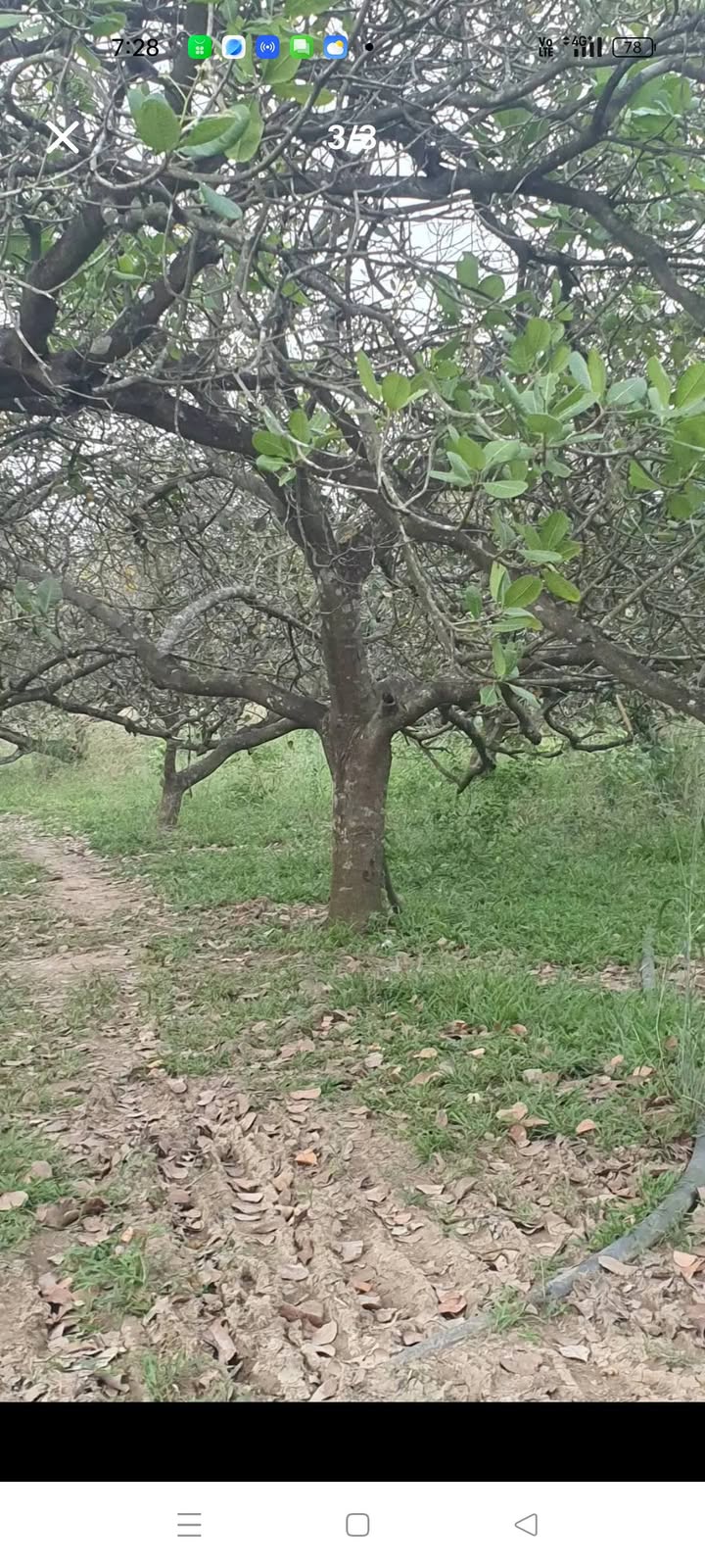 Đất nền Tân Xuân 20,000m² giá 3.6 tỷ - View suối Rạc thơ mộng!