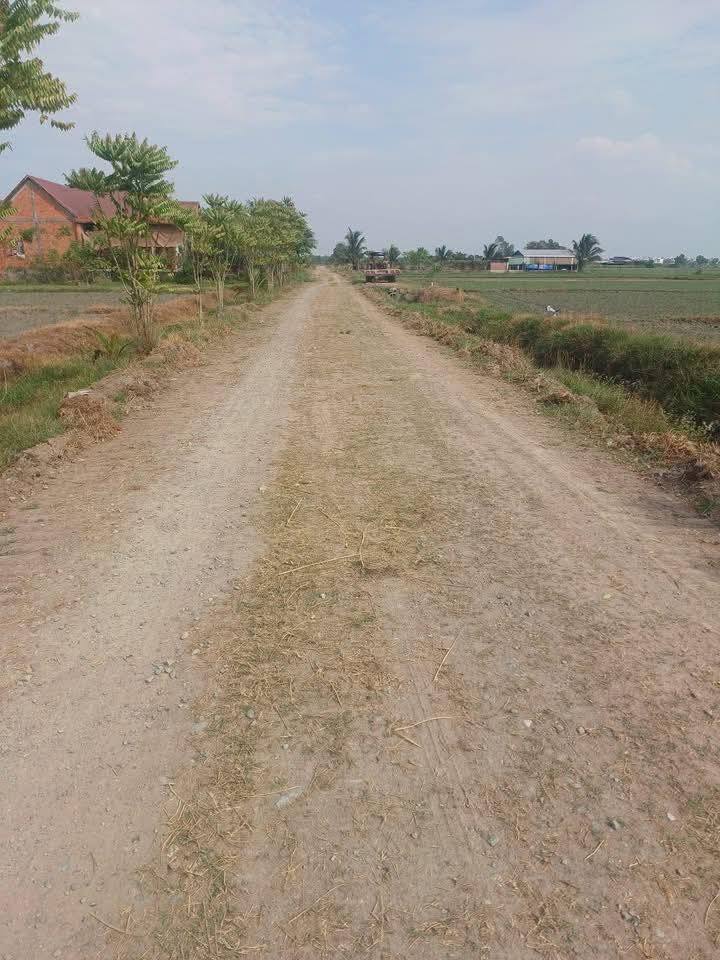 Đất nền Đức Lập 300m² giá 1.5 tỷ - Sổ hồng chính chủ, đường rộng 7m!