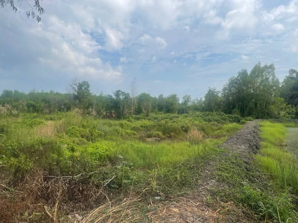 Đất nền ấp 2 Hựu Thạnh 380m² giá 1.6 tỷ - Sổ đỏ chính chủ, đối diện Ecity Tân Đức!