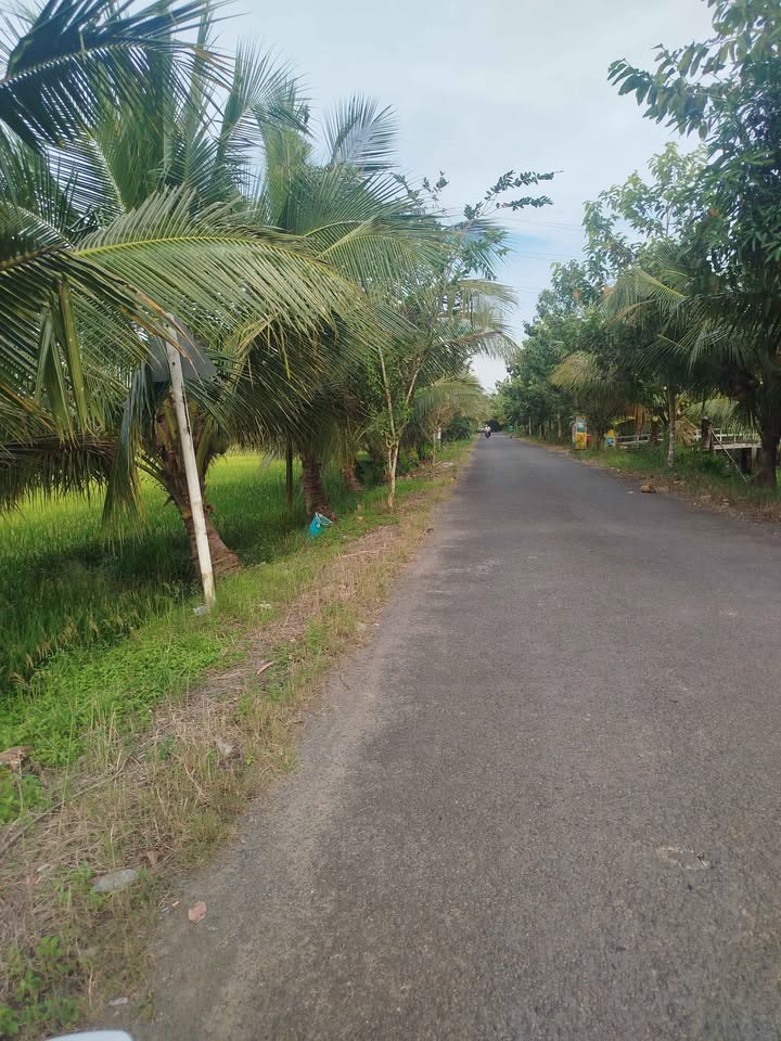 Đất nền Hùng Hòa, Tiểu Cần 6000m² giá chỉ 450 triệu - Cơ hội đầu tư lý tưởng!