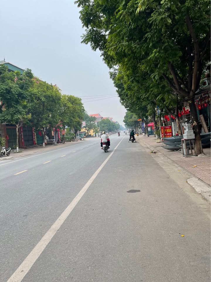 Đất nền Hoàng Hoa Thám, Đa Mai, Bắc Giang 56m² - Kinh doanh thuận lợi!