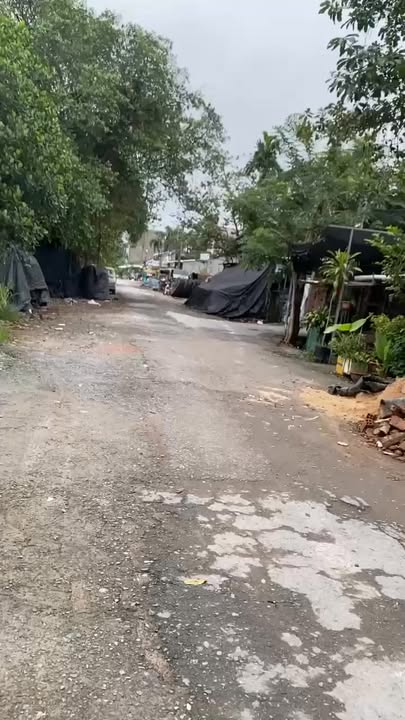 Đất trồng cây An Phú Đông 400m² giá 5.8 tỷ - Mặt tiền sông Sài Gòn!