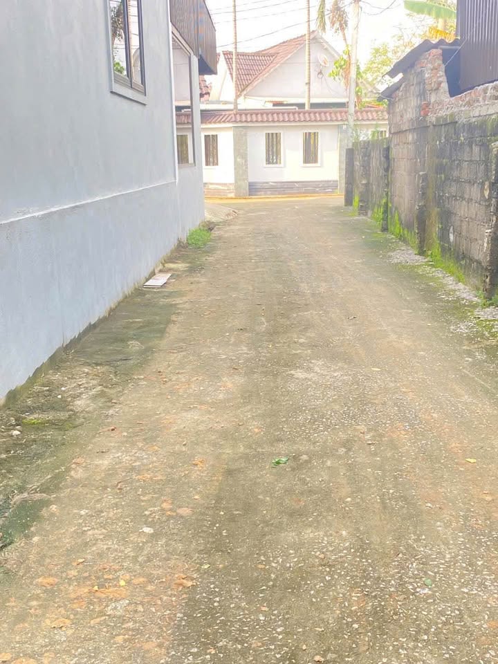 Bán đất xóm 5 Nghi Kim, 86.1m² giá 1.53 tỷ - Đường ô tô vào thoải mái!