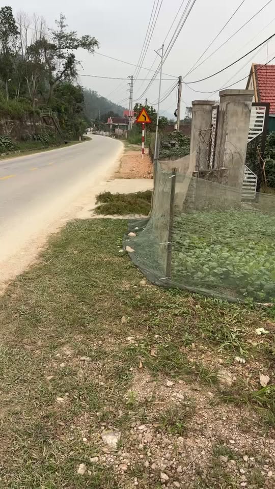 Đất mặt đường Quốc lộ 15A, Nam Đàn 338m² giá 1.6 tỷ - Đầu tư sinh lời nhanh!